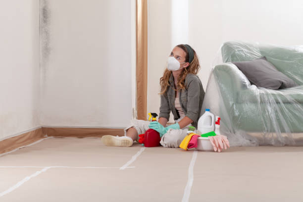 Reliable Black Mold Remediation contractor in Martinsville, IL by Car Mold Remediation